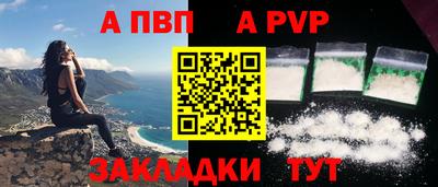 амф Кингисепп