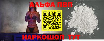 амф Кингисепп