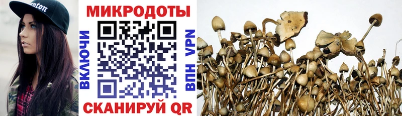 наркота Нальчик Псилоцибиновые грибы MAGIC MUSHROOMS