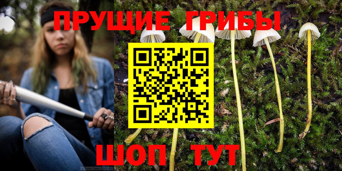 Псилоцибиновые грибы мухоморы Нальчик