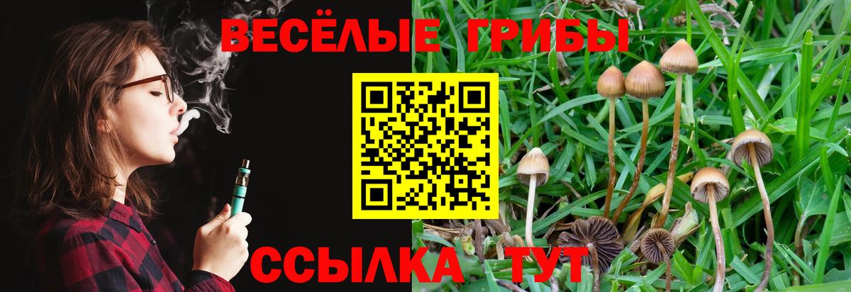 Псилоцибиновые грибы мицелий  Вход с VPN  Нальчик 